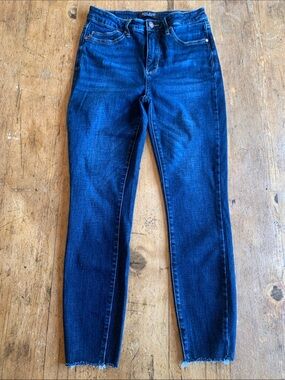 Judy Blue Indigo Skinny Jeans